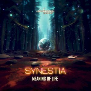 Meaning of Life (Single)