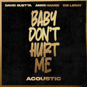 Baby Don’t Hurt Me (acoustic)