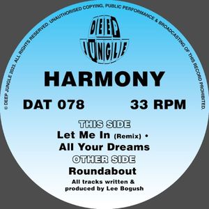 Roundabout / Let Me In Remix / All Your Dreams (EP)