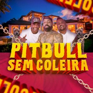 Pitbull Sem Coleira (Single)