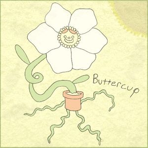 buttercup (Single)