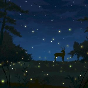 Field of Fireflies (Single)