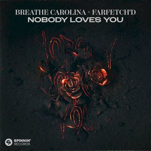 Nobody Loves You (Single)