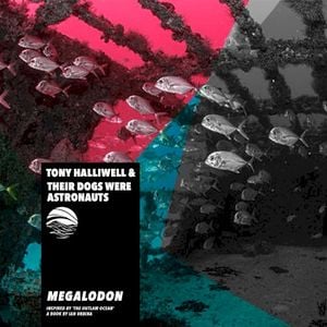 Megalodon (Inspired by ‘The Outlaw Ocean’ a book by Ian Urbina) (Single)
