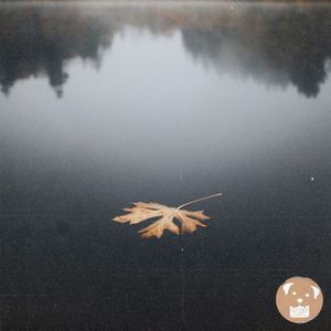 autumn again (Single)