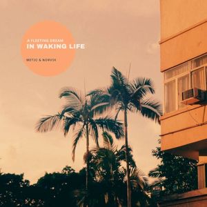 A Fleeting Dream In Waking Life (EP)