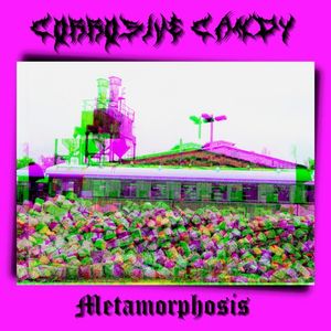 Metamorphosis (Single)