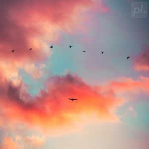 A New Sunset (Single)