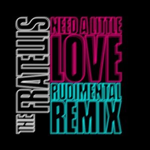 Need a Little Love (Rudimental Remix) (Single)