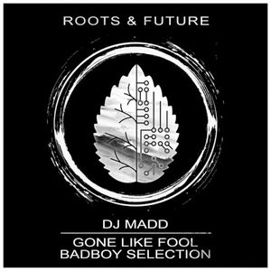 Gone Like Fool / Badboy Selection (Single)