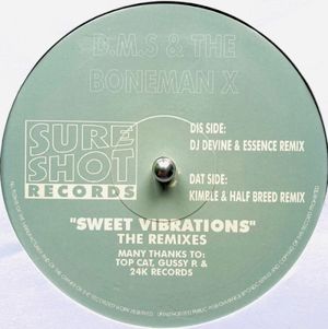 Sweet Vibrations (The Remixes)