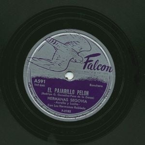 El pajarillo pelon