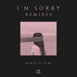 I’m Sorry (Remixes) (Single)