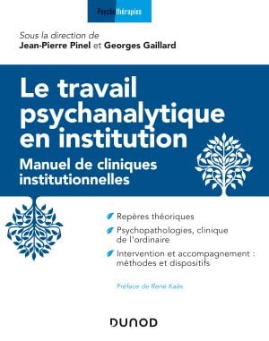 Le Travail Psychanalytique En Institution