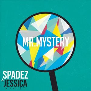 Mr. Mystery (Single)