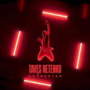 Tavęs netenku (Single)