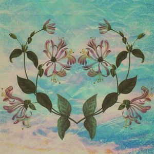 Honeysuckle (Single)