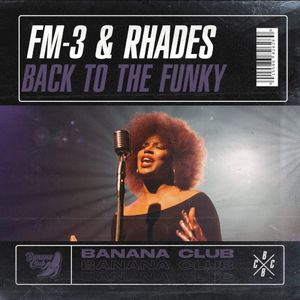 Back To The Funky (Single)