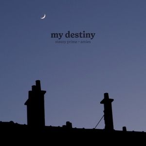 my destiny (Single)