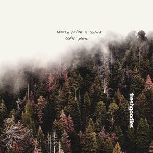 cedar plane (Single)