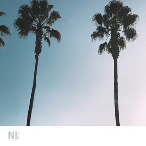 Tropical (Single)