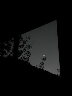 I Watch The Moon (Single)