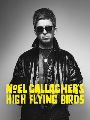 Noel Gallagher's High Flying Birds en concert au Zénith de Paris