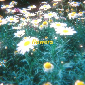 flowers - sped up