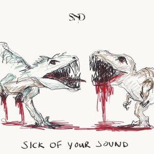 Sick of Your Sound (Single)
