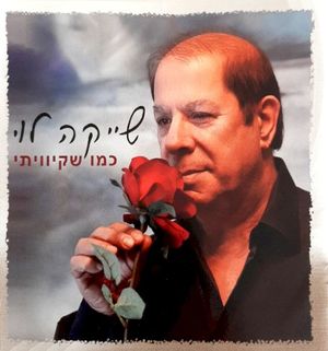 כמו שקיוויתי