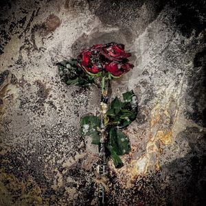 Valentine / Breakdown (Single)