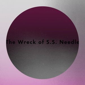 The Wreck of S.S. Needle (Single)