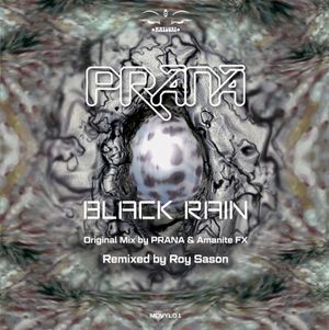 Black Rain (Remastered & Remixed by Roy Sason) (EP)