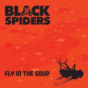 Fly in the Soup (Single)