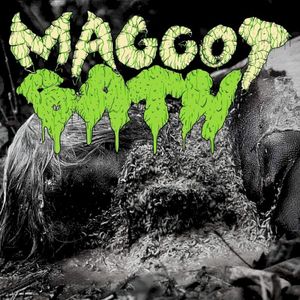 Maggot Bath