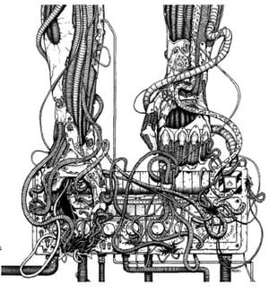 Propylhexedrine