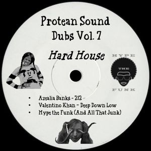 Hype the Funk (Protean Sound Edit)