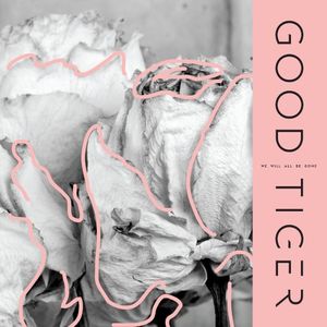 Grip Shoes (Single)