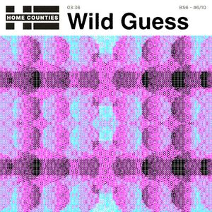 Wild Guess (Single)