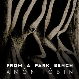 From a Park Bench (Single)