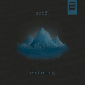 Enduring (Single)