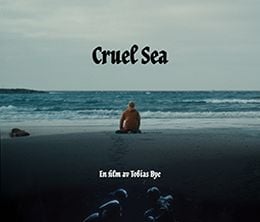 image-https://media.senscritique.com/media/000021747193/0/cruel_sea.jpg