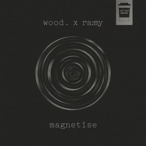 Magnetise (Single)