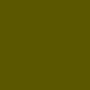 #5c5604 (EP)