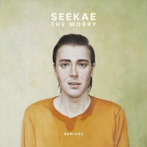 The Worry (Remixes)