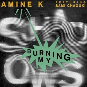 Burning My Shadows (Single)