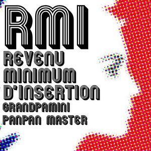 Rmi Revenu Minimum D'insertion