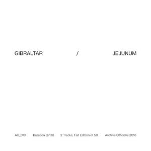 Jejunum (EP)