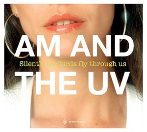 Silently The Birds Fly Through Us (Single)
