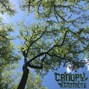 Canopy (EP)
